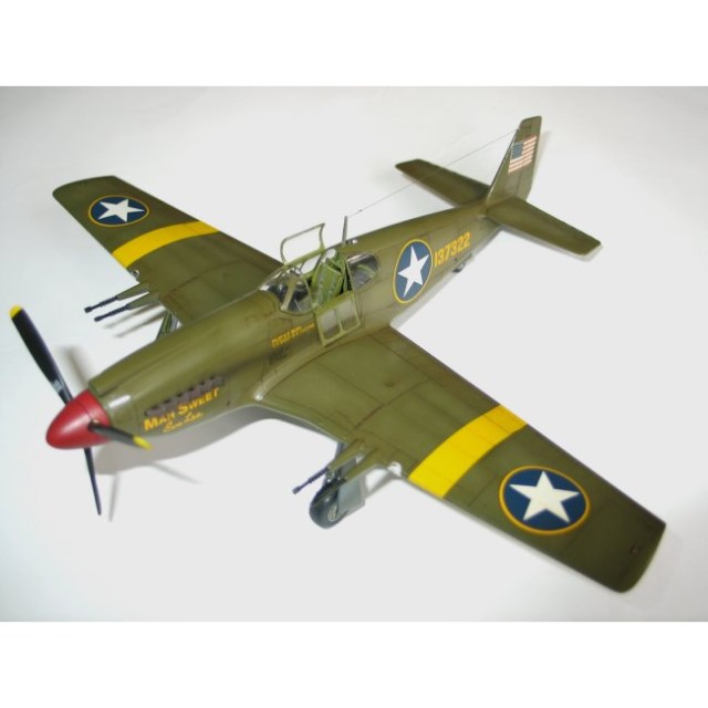 USAAF P-51 "North Africa"