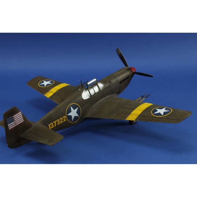USAAF P-51 "North Africa"